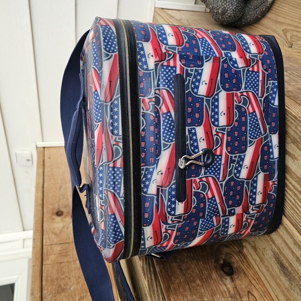 Stylish Blue and Red Cooler Bag